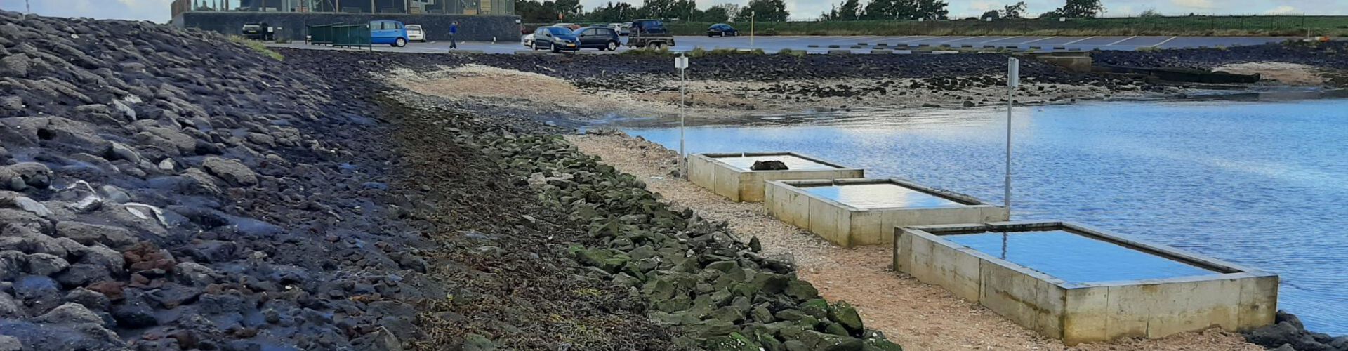 Betonnen getijdenbakken geven biodiversiteit Oosterschelde een gezicht